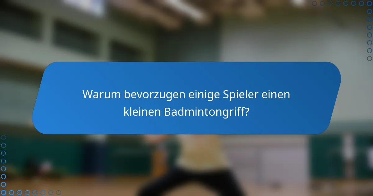 Warum bevorzugen einige Spieler einen kleinen Badmintongriff?